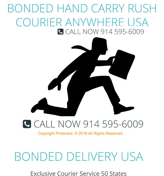 BONDED DELIVERY USA Exclusive Courier Service 50 States BONDED HAND CARRY RUSH COURIER ANYWHERE USA Copyright Protected. © 2018 All Rights Reserved